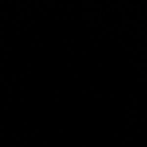 Meet your Posher, Henry